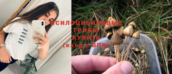 spice Новозыбков