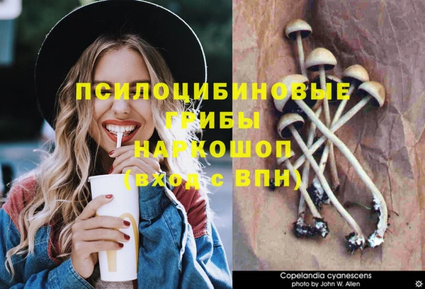 jwh Новокубанск