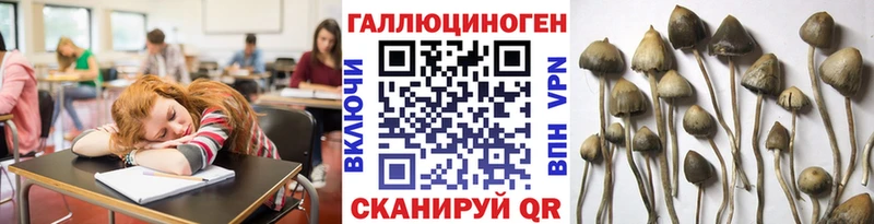 Псилоцибиновые грибы ЛСД  Приморско-Ахтарск 